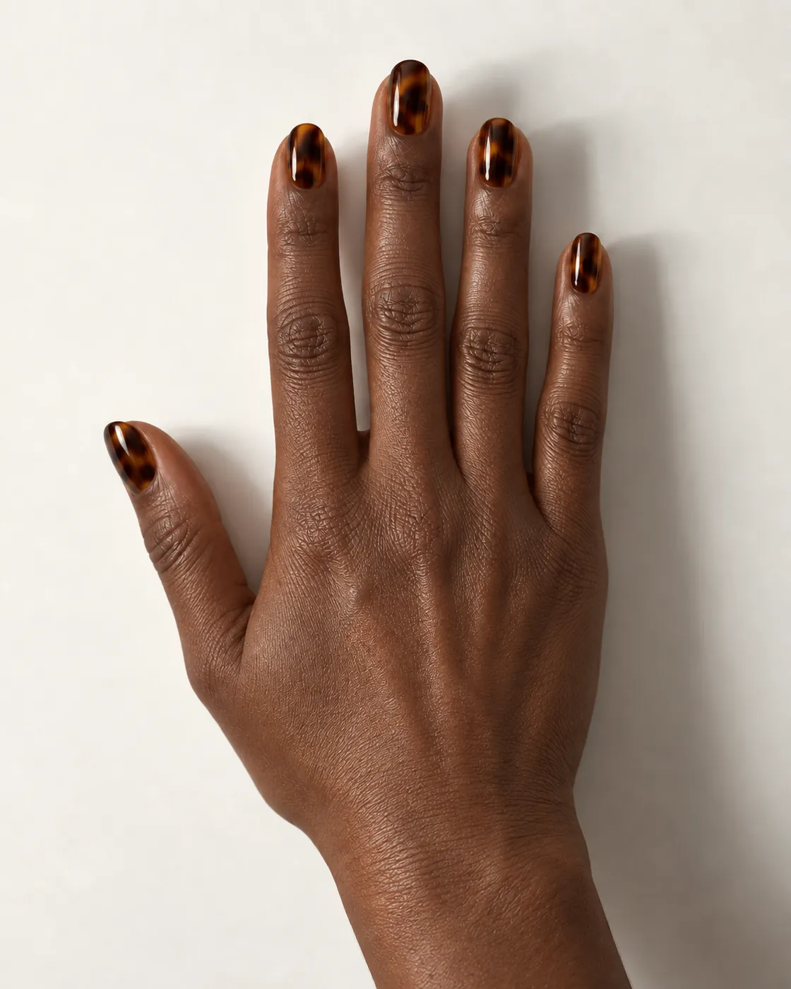 Tortoiseshell